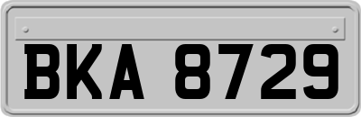BKA8729