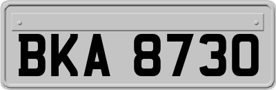 BKA8730