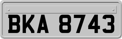 BKA8743