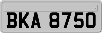BKA8750