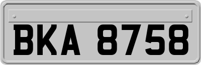 BKA8758