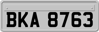BKA8763