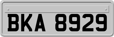 BKA8929