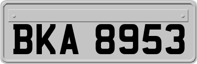 BKA8953