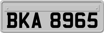 BKA8965