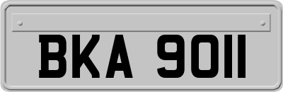 BKA9011