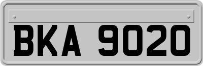 BKA9020