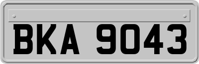 BKA9043
