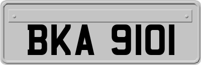 BKA9101