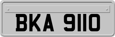 BKA9110