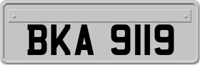 BKA9119