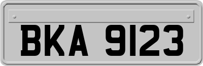 BKA9123