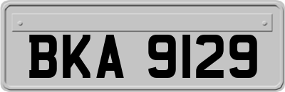 BKA9129