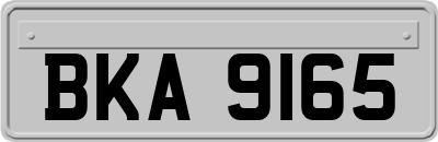 BKA9165