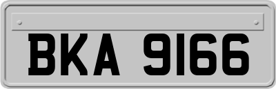 BKA9166