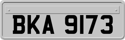 BKA9173