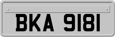 BKA9181