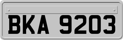 BKA9203