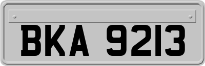 BKA9213