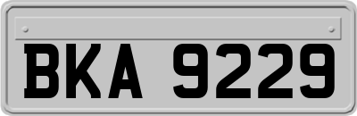 BKA9229