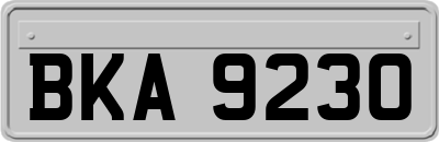 BKA9230