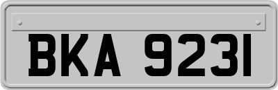 BKA9231