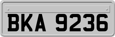 BKA9236