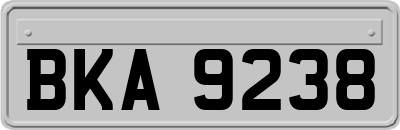 BKA9238