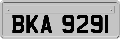 BKA9291