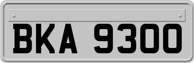 BKA9300