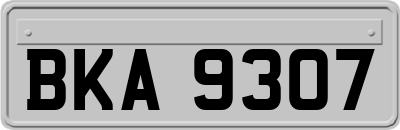 BKA9307