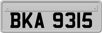 BKA9315