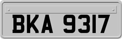 BKA9317