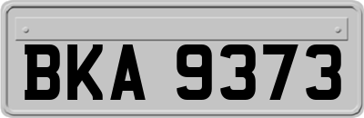 BKA9373