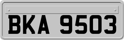BKA9503