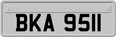 BKA9511