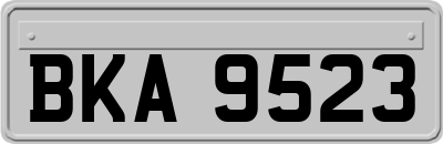 BKA9523