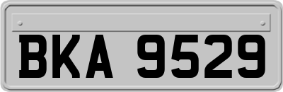 BKA9529