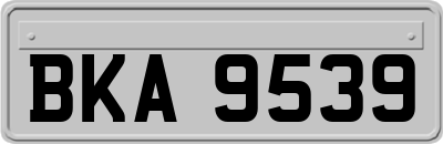 BKA9539