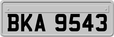BKA9543