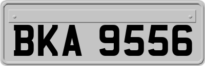 BKA9556