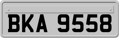 BKA9558