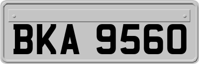 BKA9560