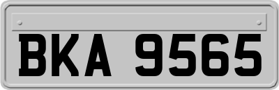 BKA9565
