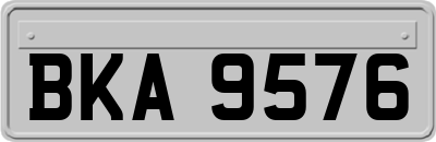 BKA9576