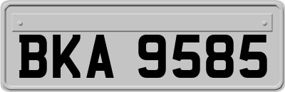BKA9585