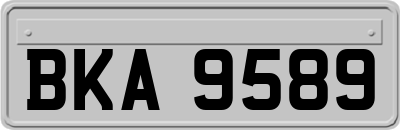 BKA9589