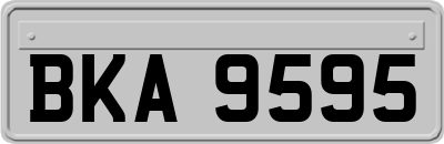 BKA9595