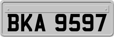 BKA9597