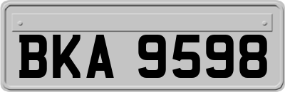 BKA9598